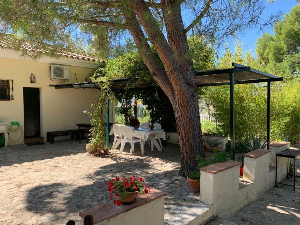 Casa Lola *