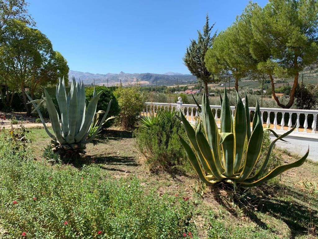 Casa Lola * Ronda